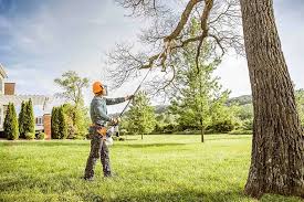 Best Tree Mulching  in Eatonville, WA